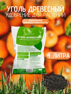 Уголь древесный 256629243 купить за 236 ₽ в интернет-магазине Wildberries