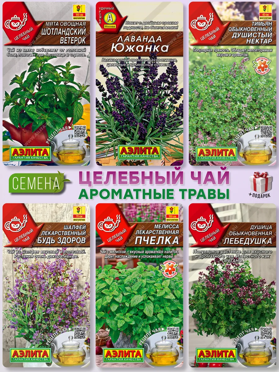 Семена пряных трав для чая