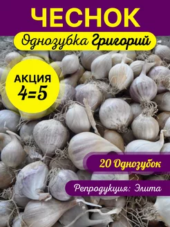 Чеснок на посадку озимый крупный Григорий однозубка Greenmag 256833966 купить за 595 ₽ в интернет-магазине Wildberries