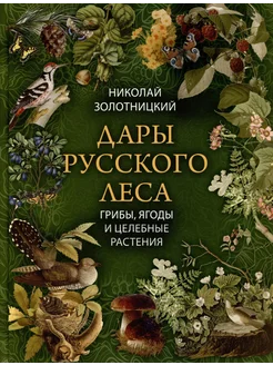 Дары русского леса. Грибы, ягоды … книга Золотницкий Николай