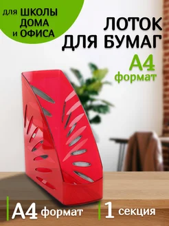 Лоток вертикальный ТРОПИК темно-красный ВИШНЯ СТАММ ЛТ358 Интэк 257009956 купить за 412 ₽ в интернет‑магазине Wildberries