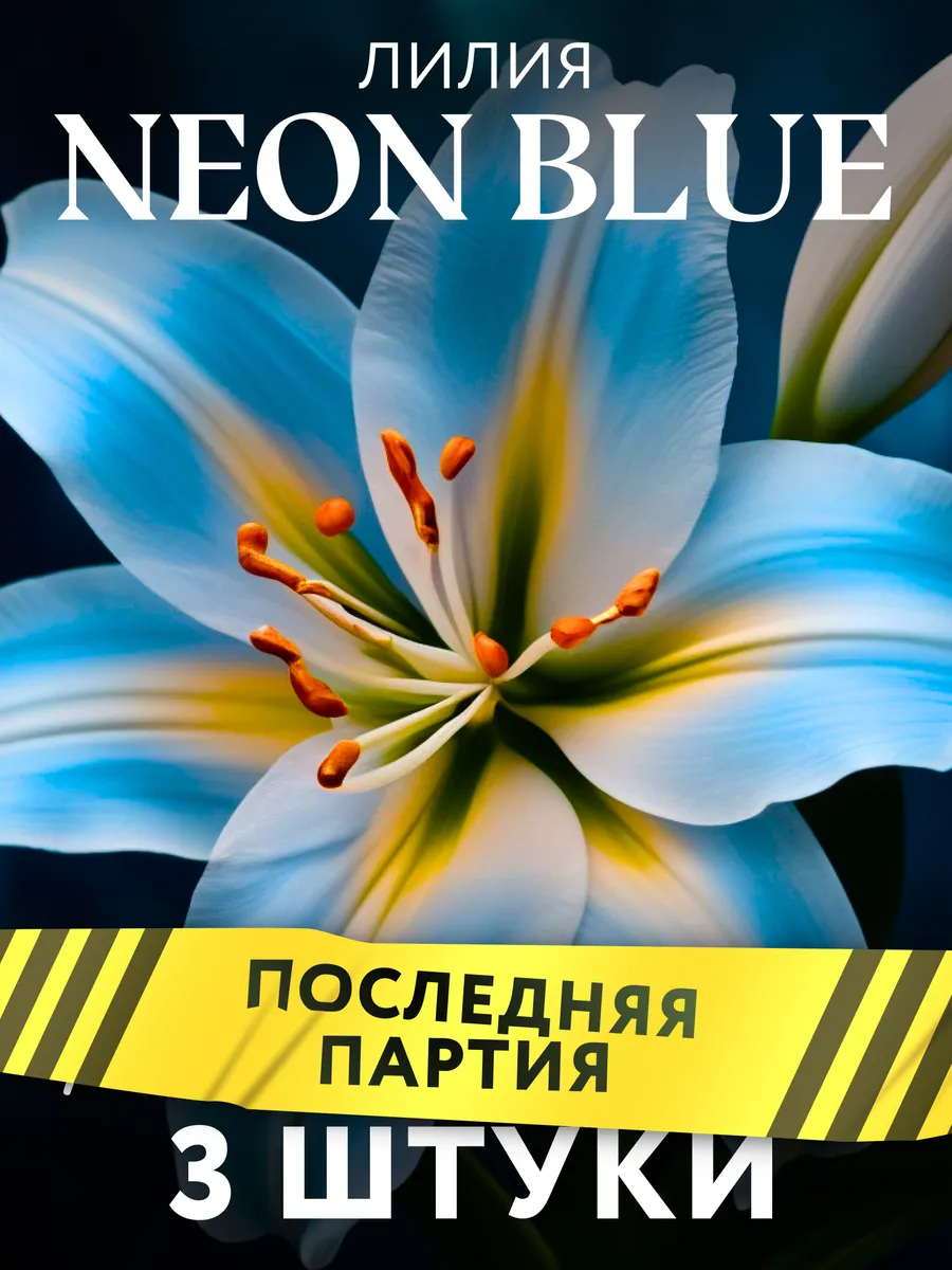 Лилии луковицы...