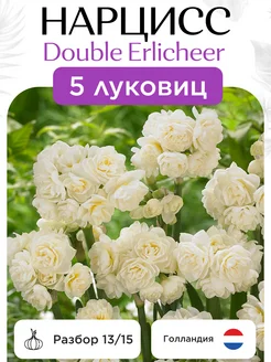 Луковицы нарцисса Double Erlicheer 5 штук Каскад 257116789 купить за 412 ₽ в интернет-магазине Wildberries