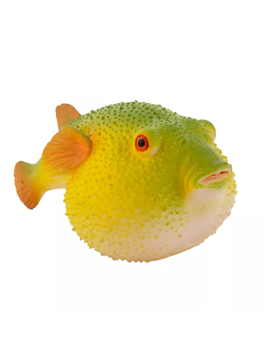 Олар оның кеудесін телефонға түсіріп алған.