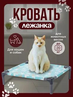 Лежанка для кошек и собак 59SHUM 257216659 купить за 708 ₽ в интернет-магазине Wildberries