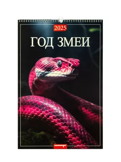 Календарь настенный перекидной 2025 Год змеи