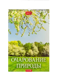 Календарь настенный перекидной 2025 Очарование природы