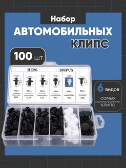 Набор крепежных автомобильных клипс 100 шт 6 видов BestDiller 257232260 купить за 238 ₽ в интернет-магазине Wildberries