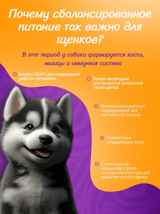 Сухой корм BUDDY DINNER для собак, крупные, щенки, говядина, 12 кг, фото 4
