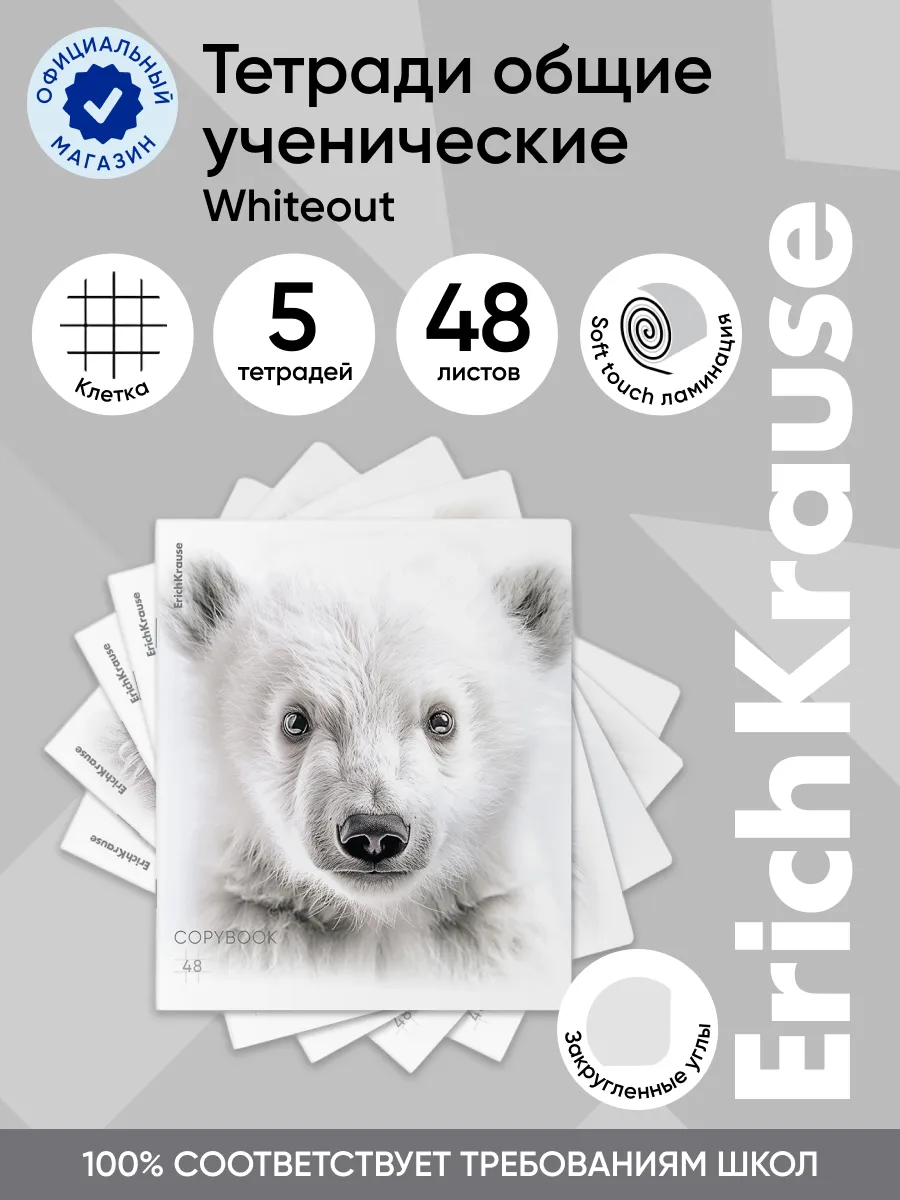 Тетрадь общая Whiteout, 48...