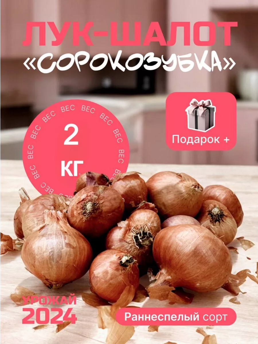 Лук севок на посадку...