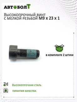 Винт M9 x 23 x 1 под TORX, 10.9, 2 штуки