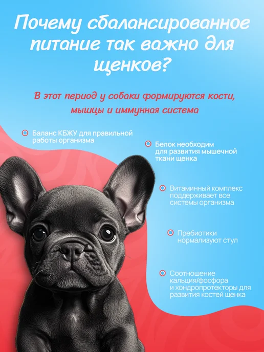 Сухой корм BUDDY DINNER для собак, мелкие, щенки, 1 кг, фото 4