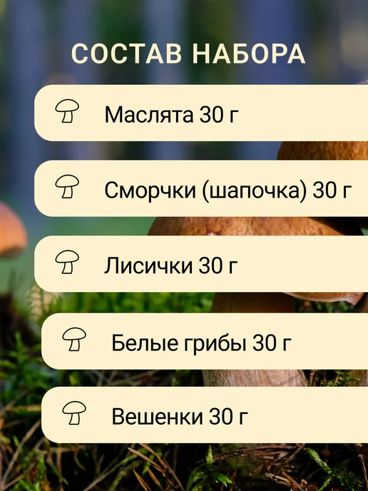KaDaMa Nature Сушеные грибы - набор 5 шт. по 30 грамм, 5 шт, фото 2