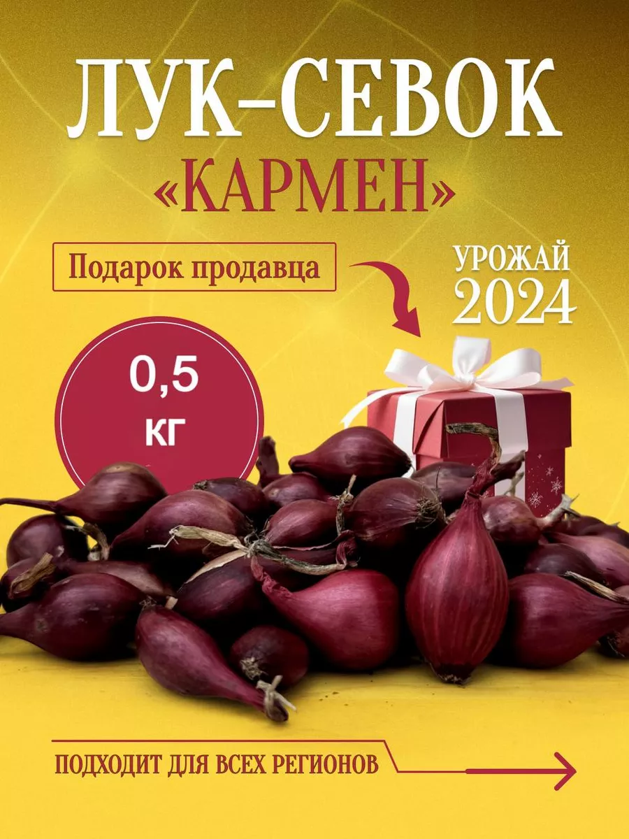 Лук-севок озимый на...