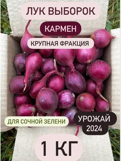 Лук севок красный Кармен 257880552 купить за 294 ₽ в интернет-магазине Wildberries