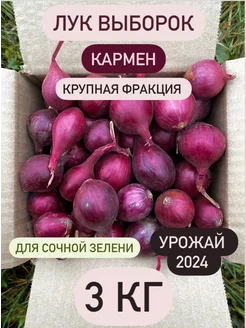 Лук севок Кармен 257880554 купить за 905 ₽ в интернет-магазине Wildberries