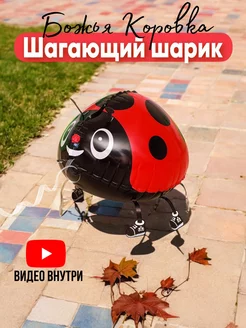 Воздушный ходячий шар Божья коровка