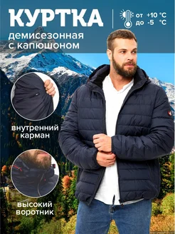 Куртка демисезонная Didor 257977295 купить за 5 253 ₽ в интернет-магазине Wildberries