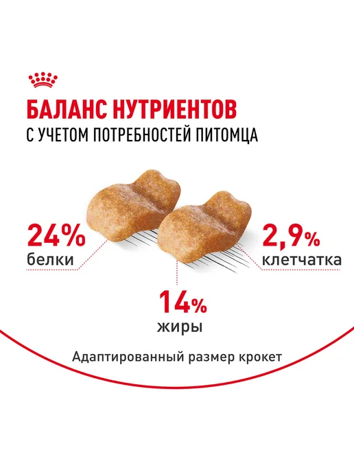 Сухой корм Royal canin Bulldog Бульдог для собак, 3 кг, фото 5