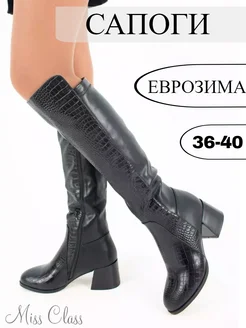 Сапоги Miss Class 258022976 купить за 4 440 ₽ в интернет-магазине Wildberries