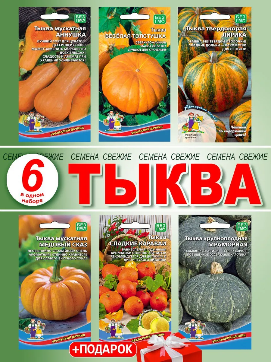 Семена тыквы сладкой