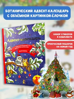 Адвент-календарь. Новогодняя ботаника прогулка по зимнему