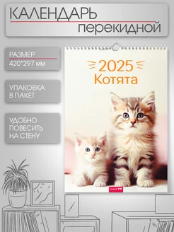 Календарь 2025 настенный А3 Котята