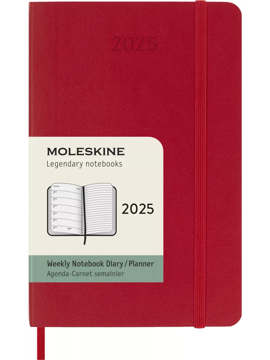 Еженедельник 2025 CLASSIC SOFT WKNT...