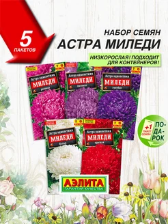 Семена Астра Миледи 5 шт