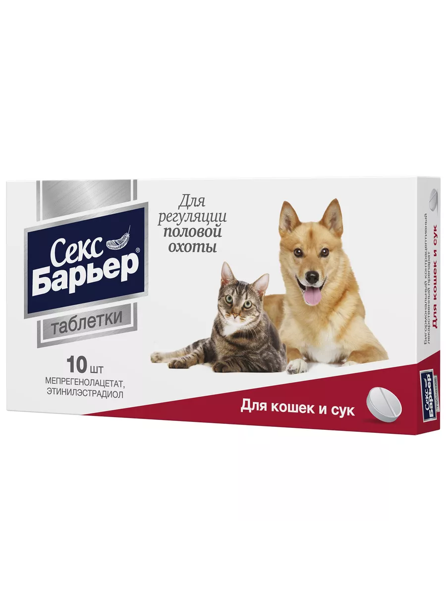 собака - конский секс 