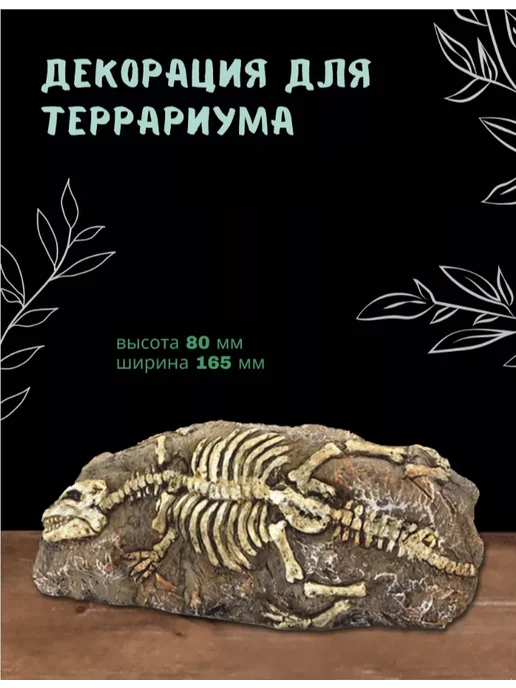 Pon-Pon Plankton Декорация для террариума Окаменелость 16х8х4 см, 8x4 см