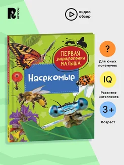 Насекомые. Первая энциклопедия малыша