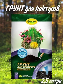 Грунт фаско цветочное счастье для кактусов 2,5 л ЛАМА ТОРФ 258491480 купить за 197 ₽ в интернет-магазине Wildberries