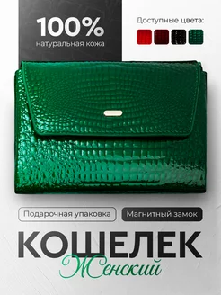 Кошелек из натуральной кожи зеленого цвета RUBBY 258755854 купить за 1 289 ₽ в интернет-магазине Wildberries