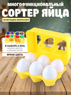 Яйца сортер Монтессори в контейнере Игрозаврик 258756393 купить за 363 ₽ в интернет-магазине Wildberries