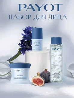 Набор для лица SOURCE PAYOT 258797086 купить за 5 441 ₽ в интернет-магазине Wildberries