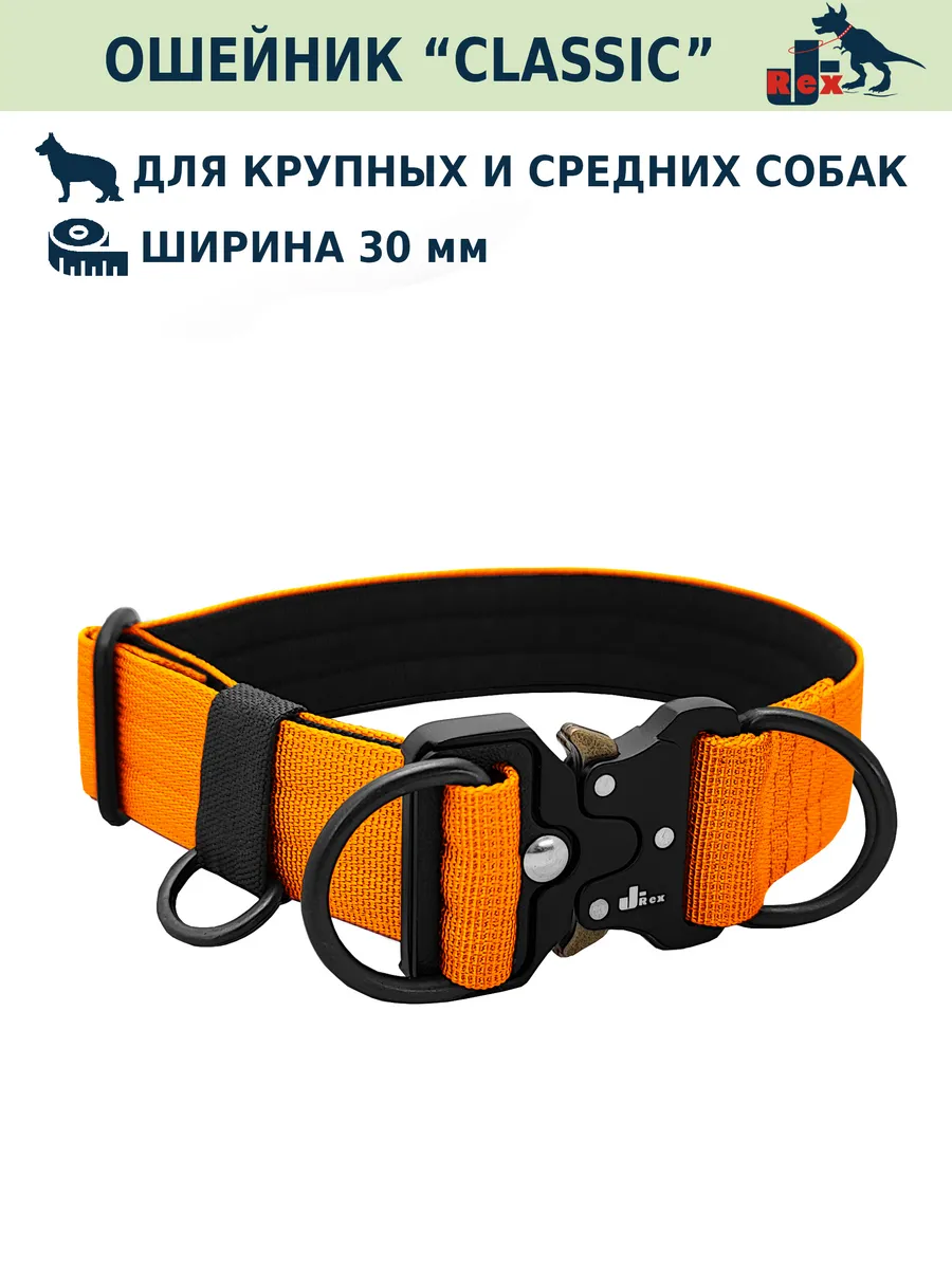 Ошейник "Classic", 30мм, металлическая пряжка "Кобра"