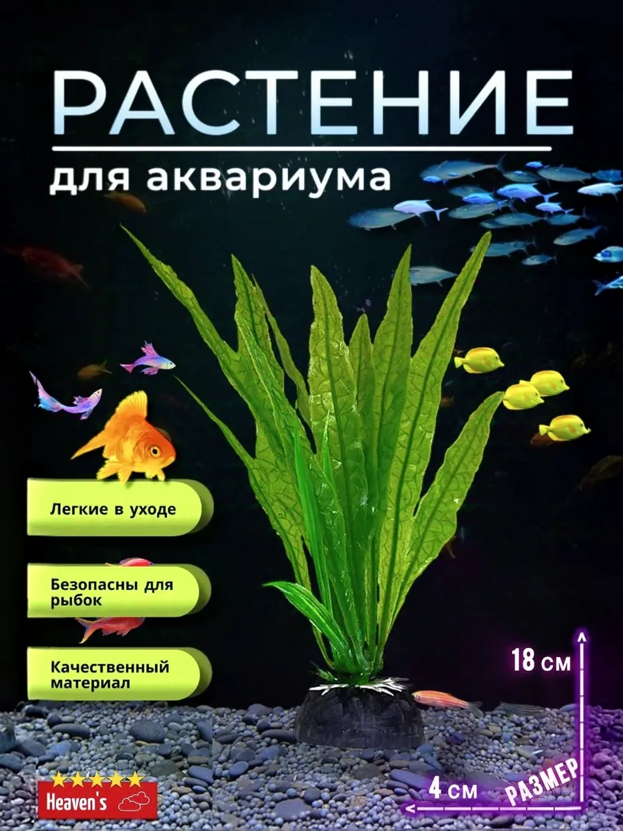 Водоросли в аквариум растение