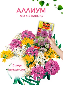 Аллиум MIX 4-5 каперс 10шт уп, комплект 2 упаковки