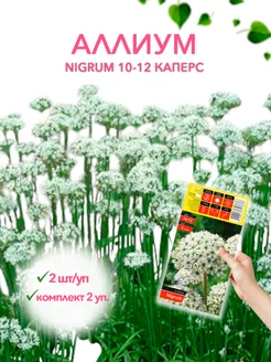 Аллиум NIGRUM 10-12 каперс 2шт уп, комплект 2 упаковки