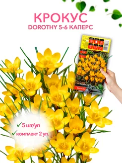 Крокус DOROTHY 5-6 каперс 5шт уп, комплект 2 упаковки