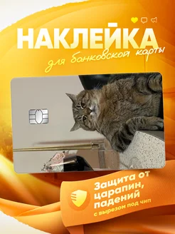 Наклейка на банковскую карту Кот MR.Стикер 259077868 купить за 160 ₽ в интернет-магазине Wildberries