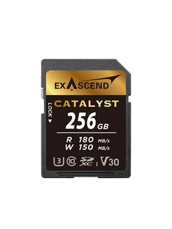 Карта памяти Catalyst UHS-I SD V30 256GB