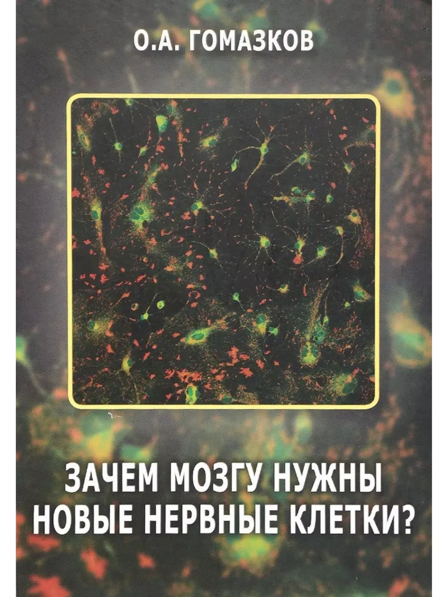 Зачем мозгу нужны новые нервные клетки?
