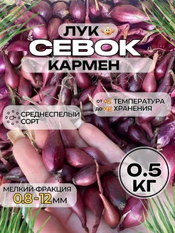 лук севок кармен мелкий 0.5кг Зеленый рай 259258069 купить за 263 ₽ в интернет-магазине Wildberries