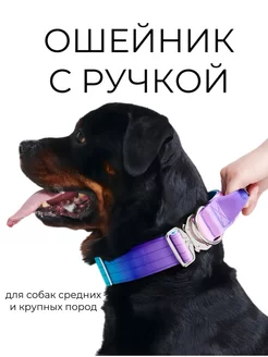 Ошейник с ручкой для собак PET.CULT 259281574 купить за 1 803 ₽ в интернет-магазине Wildberries