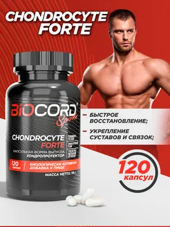 Хондропротектор для суставов Chondrocyte Forte