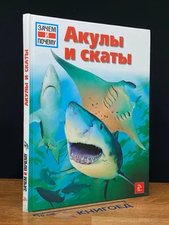 Акулы и скаты