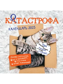 Календарь настенный. КОТАСТРОФА 2025 КОНТЭНТ 259488609 купить за 226 ₽ в интернет-магазине Wildberries